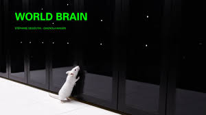worldbrain