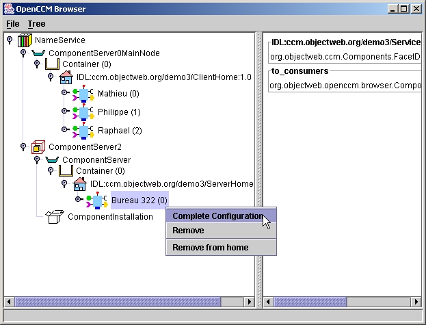 OpenCCM Browser example