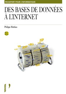 Des Bases de Données à l'Internet